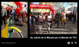 Anar