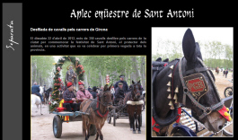 Anar