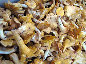 Fires d'alimentaci&oacute; artesana
