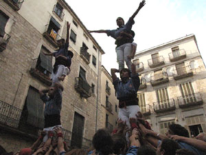 Ampliar