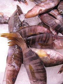 El Mercat del Lle&oacute;, per festes