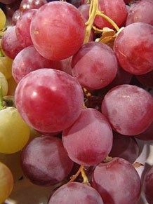 El Mercat del Lle&oacute;, per festes
