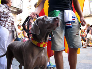 Ambient a Girona i preparaci&oacute; de la Via Catalana