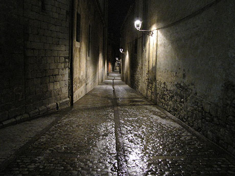 Pujada del rei Mart&iacute;