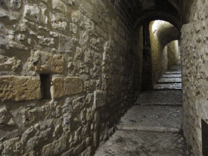 El Barri Vell de Nit. El carrer de Sant Lloren&ccedil;