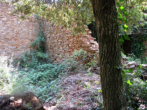 Conjunt de les ru&iuml;nes de Can Mical&oacute;
