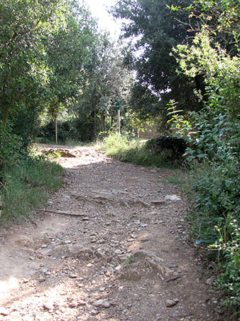 El cam&iacute; a Can Mical&oacute;