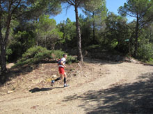 Itinerari sobre Can Lliure