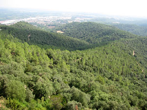 Conjunt arquitect&ograve;nic del castell de Sant Miquel