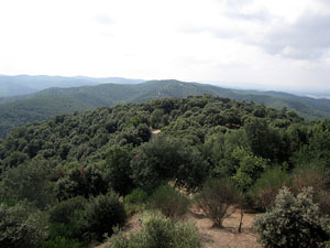 Conjunt arquitect&ograve;nic del castell de Sant Miquel
