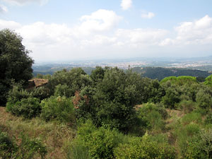 Conjunt arquitect&ograve;nic del castell de Sant Miquel