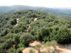Conjunt arquitect&ograve;nic del castell de Sant Miquel