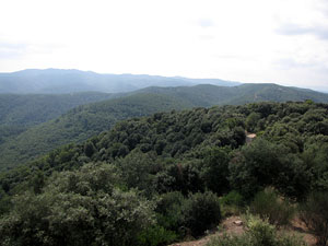 Conjunt arquitect&ograve;nic del castell de Sant Miquel