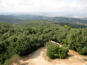Conjunt arquitect&ograve;nic del castell de Sant Miquel