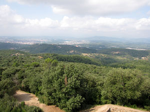 Conjunt arquitect&ograve;nic del castell de Sant Miquel