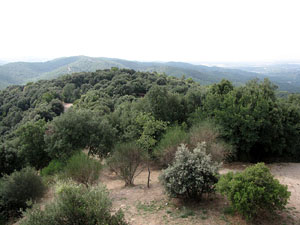 El mass&iacute;s de les Gavarres des del castell de Sant Miquel
