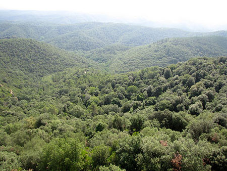 Les Gavarres des del castell de Sant Miquel