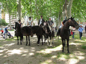 La Cavalcada de Sant Antoni 2013
