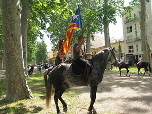 La Cavalcada de Sant Antoni 2013