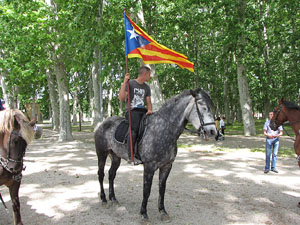 La Cavalcada de Sant Antoni 2013