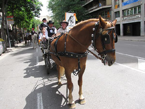 La Cavalcada de Sant Antoni 2013