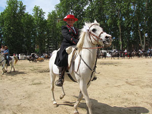 La Cavalcada de Sant Antoni 2013