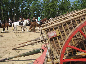 La Cavalcada de Sant Antoni 2013