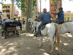 La Cavalcada de Sant Antoni 2013