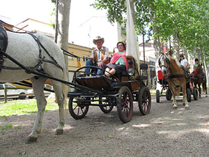 La Cavalcada de Sant Antoni 2013
