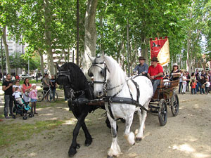 La Cavalcada de Sant Antoni 2013