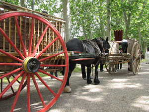 La Cavalcada de Sant Antoni 2013