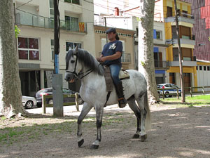La Cavalcada de Sant Antoni 2013