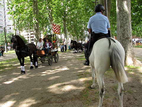 La Cavalcada de Sant Antoni a la Devesa
