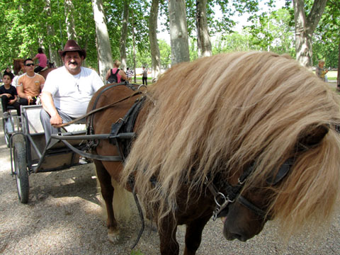 La Cavalcada de Sant Antoni a la Devesa