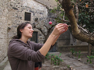 Taller de decoraci&oacute; nadalenca al Museu d'Art de Girona