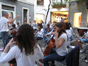 Dia de la M&uacute;sica 2013