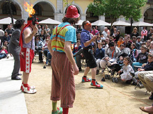 Espectacle de circ a c&agrave;rrec de MABSUTINS
