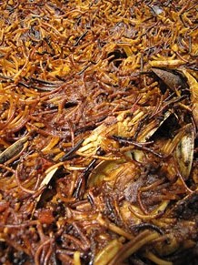 Tastets gastron&ograve;mics al Mercat del Lle&oacute;