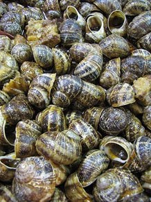 Tastets gastron&ograve;mics al Mercat del Lle&oacute;