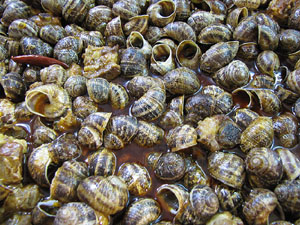Tastets gastron&ograve;mics al Mercat del Lle&oacute;