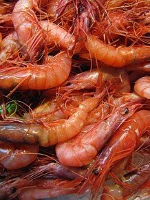 Tastets gastron&ograve;mics al Mercat del Lle&oacute;