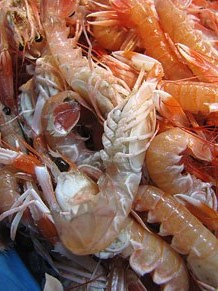 Tastets gastron&ograve;mics al Mercat del Lle&oacute;
