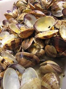 Tastets gastron&ograve;mics al Mercat del Lle&oacute;