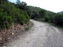 Cam&iacute; a Can Lliure