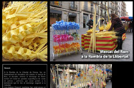 Anar