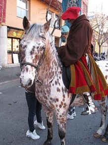 Cavalcada de Reis - Precavalcada A