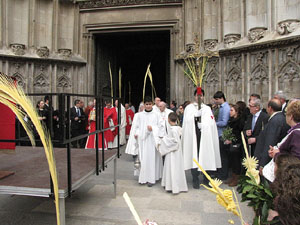 Diumenge de Rams. Benedicci&oacute; de les palmes