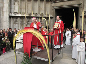 Diumenge de Rams. Benedicci&oacute; de les palmes
