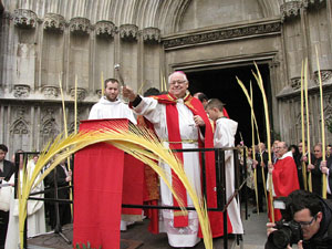 Diumenge de Rams. Benedicci&oacute; de les palmes
