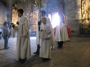 Diumenge de Rams. Benedicci&oacute; de les palmes